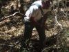 taxomara 2008 (58)
